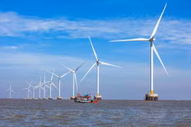 Vietnam implementa activamente acciones contra cambio climático