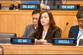 Vietnam enfatiza que marco global de gestión de municiones debe ser conforme al derecho internacional