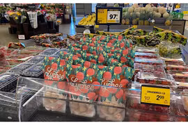 Frutas frescas vietnamitas conquistan mercado de Estados Unidos