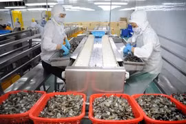 Inversión pública impulsará crecimiento duradero en Vietnam, según organizaciones internacionales