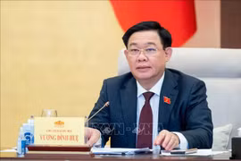 Agradecen apoyo de Cámara de Representantes belga a víctimas de dioxina en Vietnam