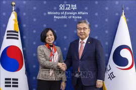 Proponen agilizar lazos entre VNA y Yonhap en transformación digital 