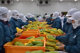 Vietnam con perspectivas de exportar productos agrícolas orgánicos a Europa 