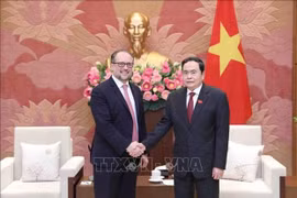 Vicepresidente parlamentario vietnamita recibe a canciller austriaco