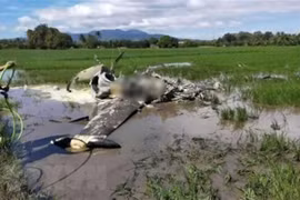 Dos muertos al estrellarse un avión militar de Filipinas 