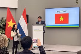 Vietnam y Países Bajos fortalecen cooperación en agricultura inteligente