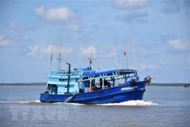 Localidades vietnamitas refuerzan lucha contra pesca ilegal