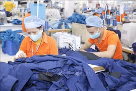 Sector textil de Vietnam por desarrollarse en 2023 
