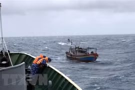 Vietnam y Tailandia buscan mejorar cooperación en aplicación de ley marítima