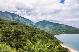 Vietnam, destino atractivo para viajar en ocasión de nuevo año