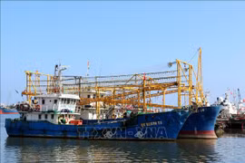 Provincia vietnamita refuerza medidas contra pesca ilegal 