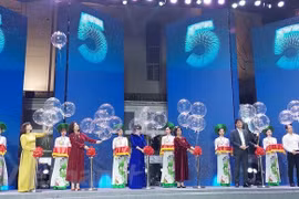 Hanoi se esfuerza por promover el turismo este año