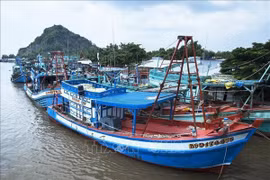 Localidades vietnamitas fomentan acciones contra pesca ilegal