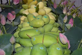 Exportaciones de Dong Thap registran un crecimiento récord en 2022