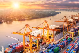 Ministerio de Industria y Comercio apoya a empresas para promover exportaciones a China