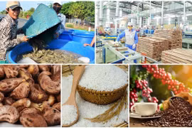 Superávit agroforestal y acuícola de Vietnam supera cuatro mil millones de dólares