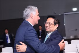 Premier vietnamita se reúne con dirigentes de Cuba, Suecia y BM