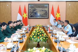Vietnam e Indonesia celebran diálogo sobre política de defensa