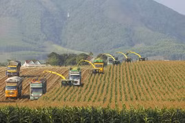 Destacan en Vietnam necesidad de inversión privada en crecimiento verde