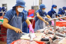 Prevén recuperación de exportaciones de pescado Tra en tercer trimestre