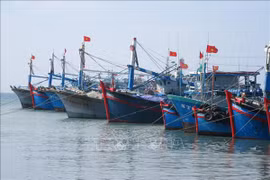 Binh Thuan aborda estrictamente violaciones relacionadas con la pesca ilegal