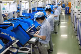 Vietnam y Singapur necesitan impulsar cooperación en economía digital