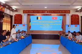 Presidenta del Senado belga visita provincia vietnamita 