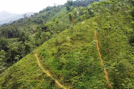 Vietnam y BM cooperan en la respuesta al cambio climático para el crecimiento verde