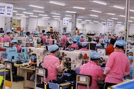 Kien Giang registra aumento de 10 por ciento del valor de producción industrial
