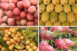 Productos vietnamitas consolidan posición en mercado de Australia