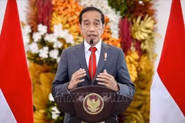 Reitera Indonesia apoyo a Consenso de Cinco Puntos sobre Myanmar