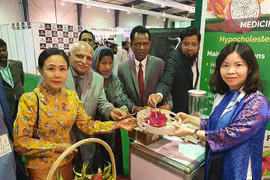 Promocionan pitahaya vietnamita en Feria Internacional My Karachi-Oasis of Harmony 2023