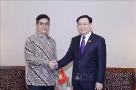 Presidente del Parlamento aboga por fortalecer cooperación económica con Indonesia
