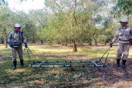 Quang Tri de Vietnam por movilizar recursos para superar secuelas de bombas