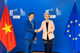 Vietnam dispuesto a cooperar con otros países por el desarrollo sostenible