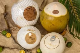 Exportaciones de coco de Vietnam superarán mil millones de dólares en los próximos años