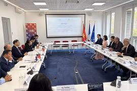 Provincia vietnamita fortalece promoción comercial con empresas francesas