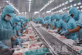 Embajador: 2023 marca avances en relaciones Vietnam-Estados Unidos 