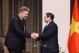 Premier vietnamita recibe a gerentes empresariales turcos