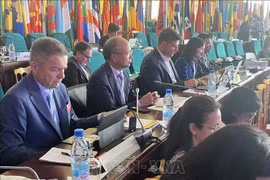 Vietnam participa en Conferencia Ministerial de la Francofonía en Camerún