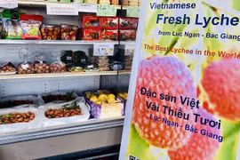 Venden en Estados Unidos lichis vietnamitas