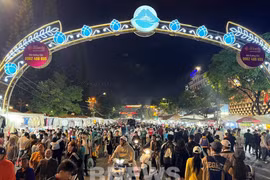 Ciudad vietnamita de Da Lat promueve la economía nocturna
