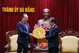Ciudad vietnamita busca fortalecer cooperación con Rusia
