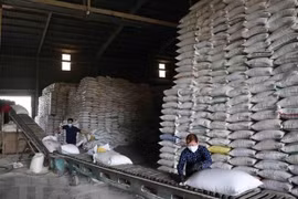 Precio del arroz vietnamita en su nivel más alto en dos años