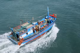 Comisión Europea reconoce esfuerzos de Vietnam en combate contra pesca ilegal