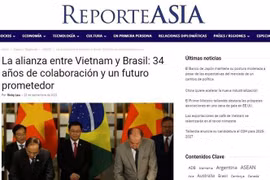 Alianza entre Vietnam y Brasil: 34 años de colaboración y un futuro prometedor