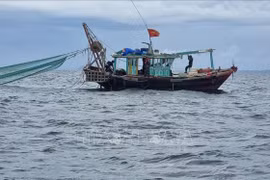 Quang Ninh confiscará vehículos y productos de pesca ilegal a partir del 1 de septiembre