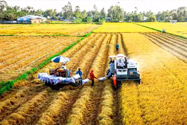 Agricultura de Vietnam por atraer IED multimillonaria para 2030