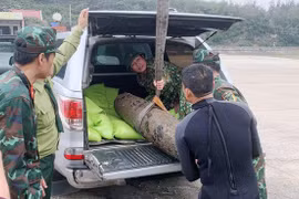 Desactivan bomba remanente de guerra en provincia vietnamita