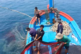 Piden soluciones urgentes para combatir pesca ilegal en Vietnam